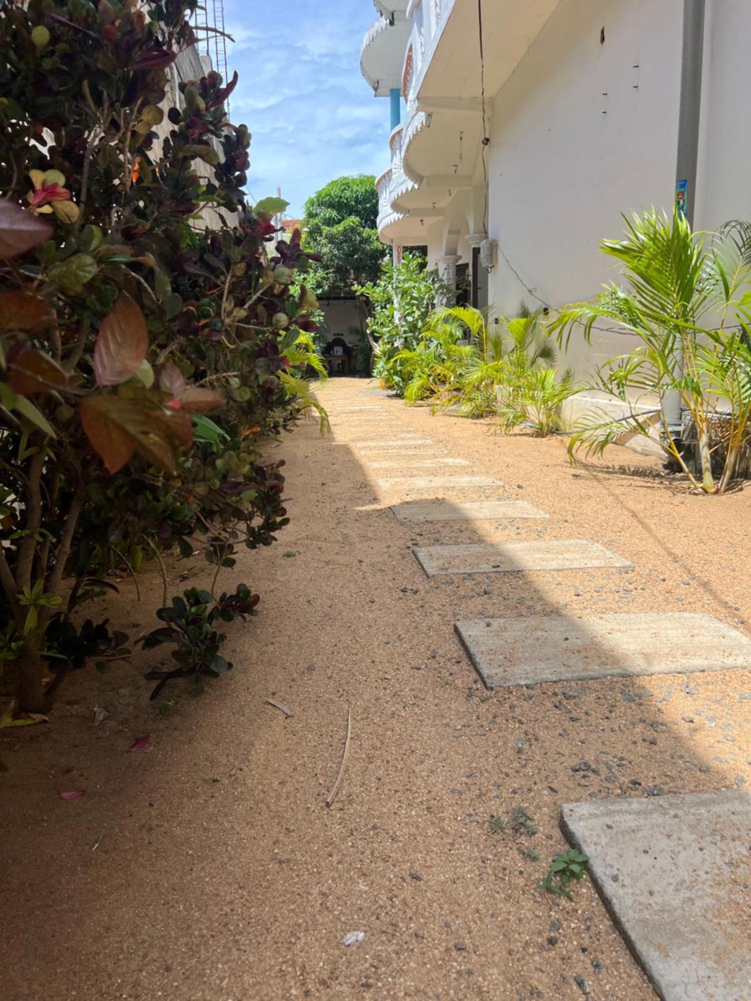 Moxy Bay Arugambay Hotel Arugam Bay Eksteriør billede