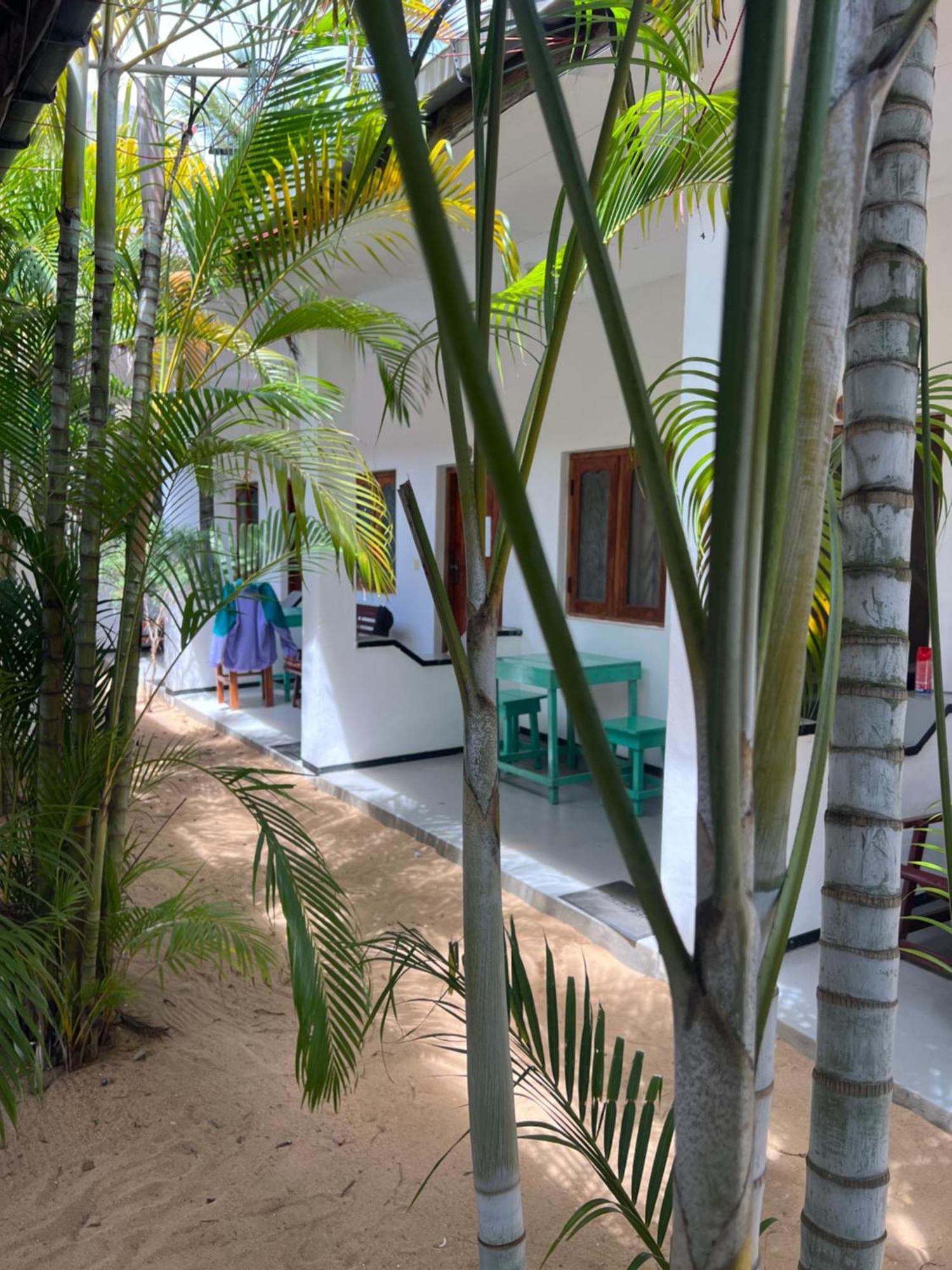 Moxy Bay Arugambay Hotel Arugam Bay Eksteriør billede