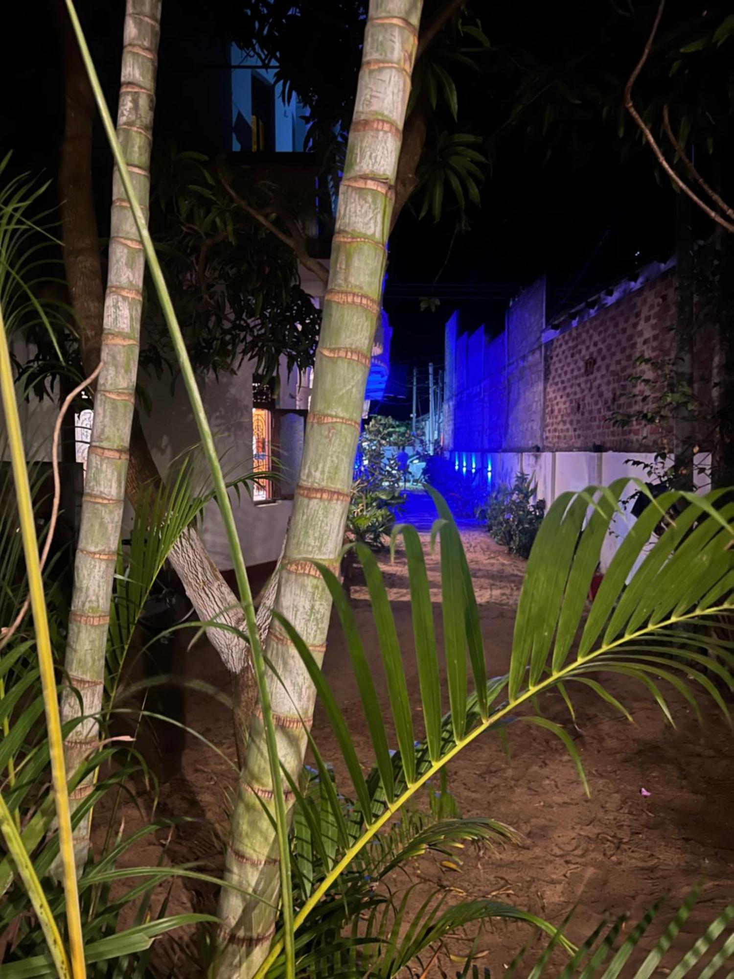 Moxy Bay Arugambay Hotel Arugam Bay Eksteriør billede