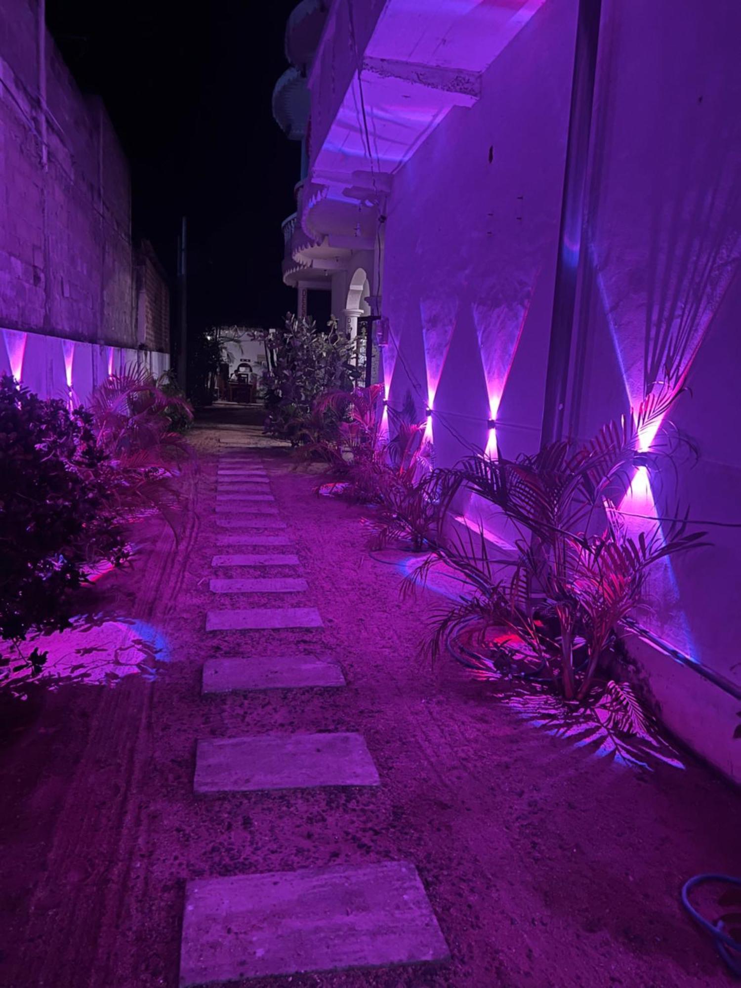Moxy Bay Arugambay Hotel Arugam Bay Eksteriør billede