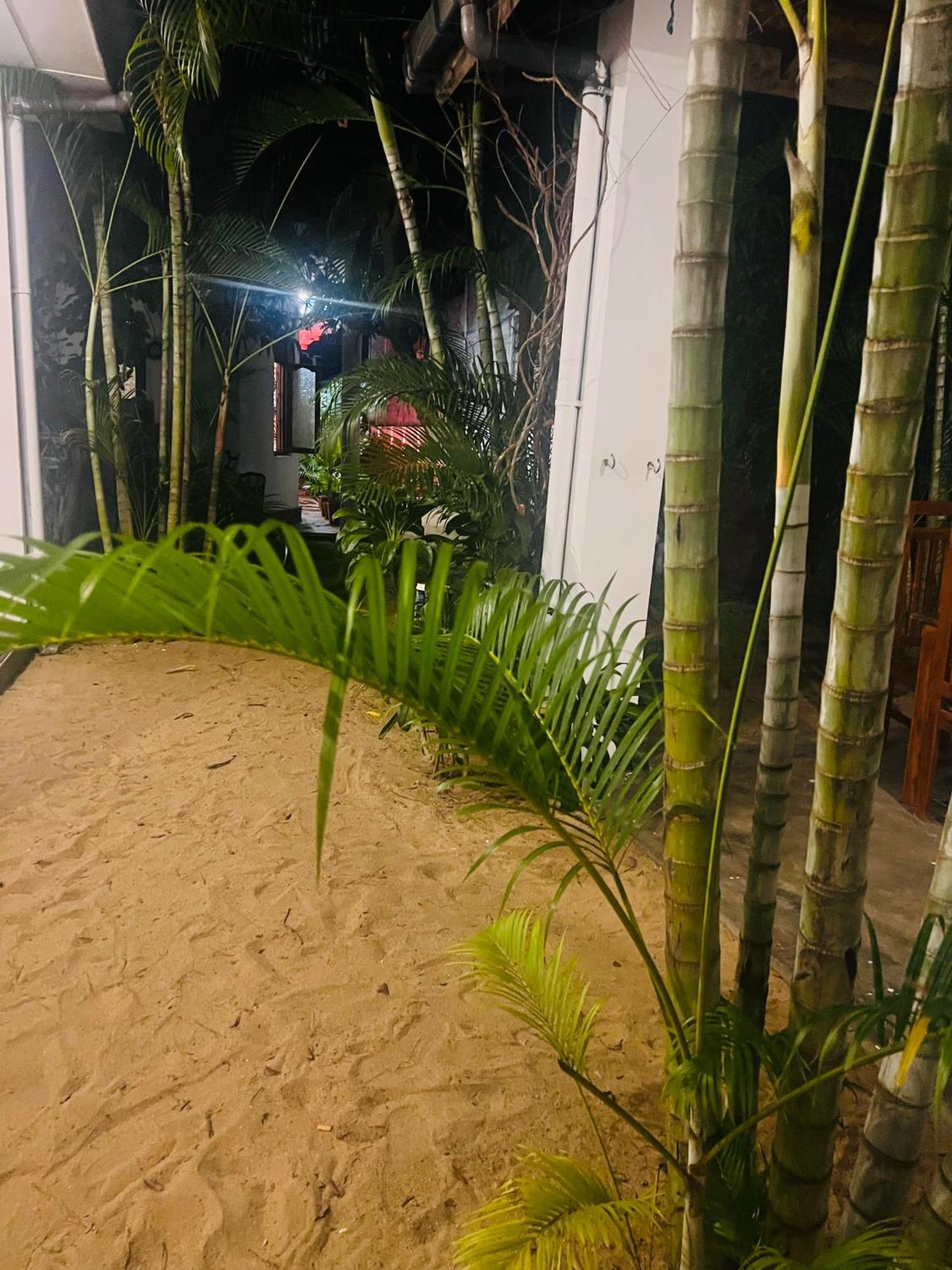 Moxy Bay Arugambay Hotel Arugam Bay Eksteriør billede
