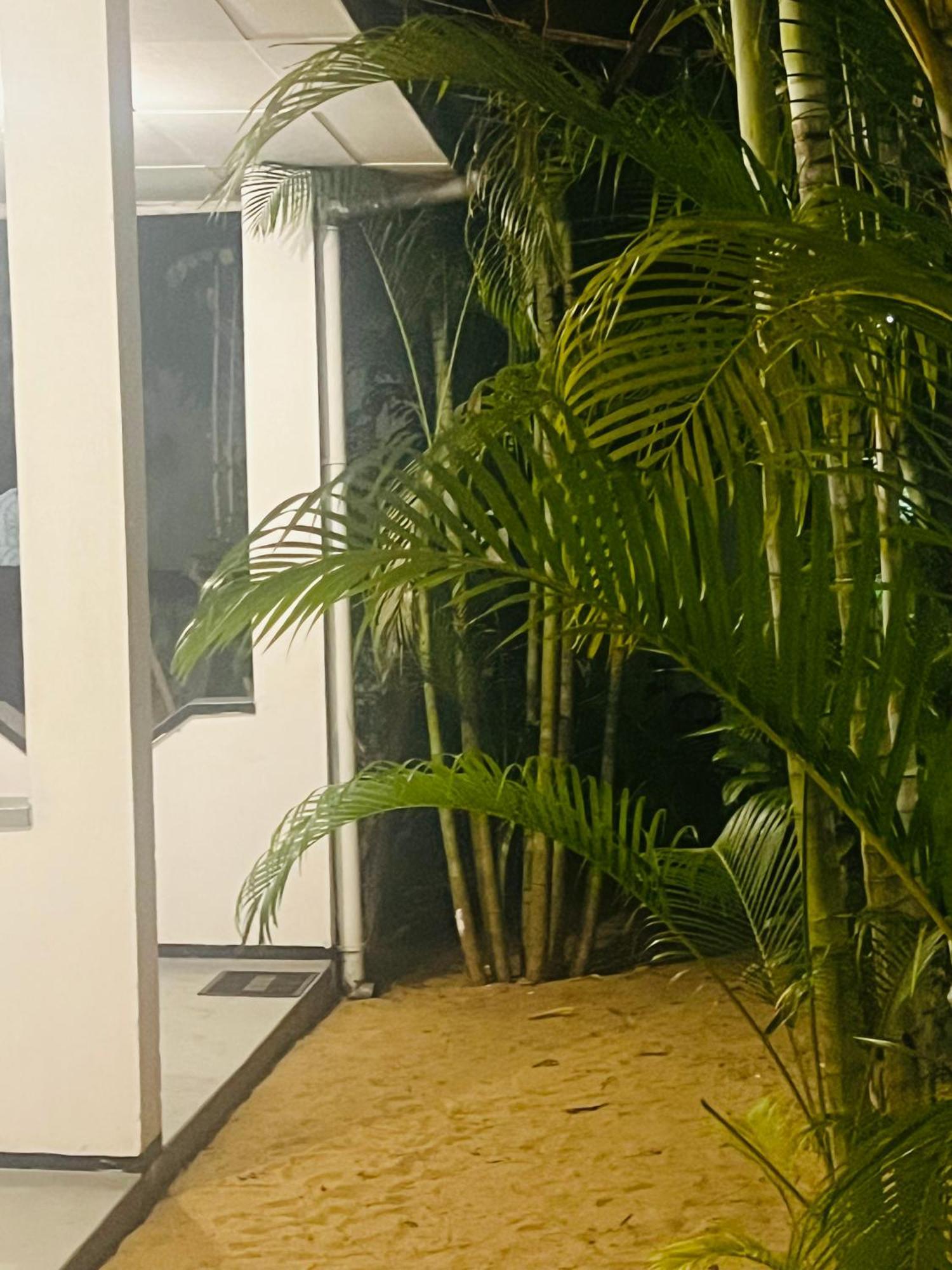 Moxy Bay Arugambay Hotel Arugam Bay Eksteriør billede
